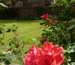 Relax in the garden