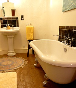 Lower bathroom